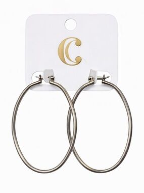 Classic Silver Hoop Earrings - Women Jewelry nwt 💕 4x15$